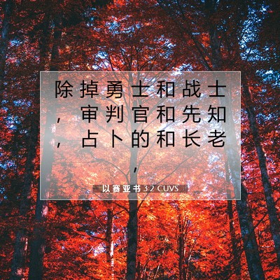 Picture 07 - 以 赛 亚 书 3:2 CUVS - 除 掉 勇 士 和 战 士 ， 审 判 官 和 - Bible Verse Picture
