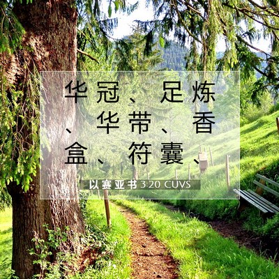 Picture 07 - 以 赛 亚 书 3:20 CUVS - 华 冠 、 足 炼 、 华 带 、 香 盒 、 - Bible Verse Picture