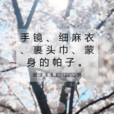 Picture 07 - 以 赛 亚 书 3:23 CUVS - 手 镜 、 细 麻 衣 、 裹 头 巾 、 蒙 - Bible Verse Picture