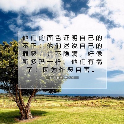 Picture 07 - 以 赛 亚 书 3:9 CUVS - 他 们 的 面 色 证 明 自 己 的 不 正 - Bible Verse Picture