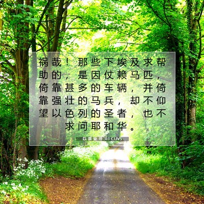 Picture 07 - 以 赛 亚 书 31:1 CUVS - 祸 哉 ！ 那 些 下 埃 及 求 帮 助 的 - Bible Verse Picture