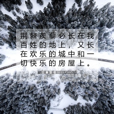 Picture 07 - 以 赛 亚 书 32:13 CUVS - 荆 棘 蒺 藜 必 长 在 我 百 姓 的 地 - Bible Verse Picture
