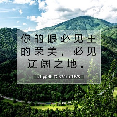 Picture 07 - 以 赛 亚 书 33:17 CUVS - 你 的 眼 必 见 王 的 荣 美 ， 必 见 - Bible Verse Picture