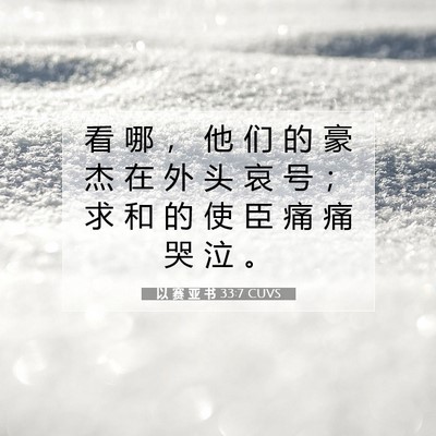 Picture 07 - 以 赛 亚 书 33:7 CUVS - 看 哪 ， 他 们 的 豪 杰 在 外 头 哀 - Bible Verse Picture