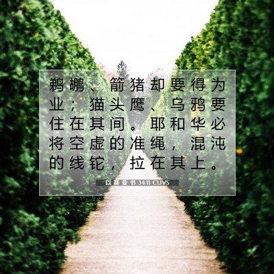 Picture 07 - 以 赛 亚 书 34:11 CUVS - 鹈 鹕 、 箭 猪 却 要 得 为 业 ； 猫 - Bible Verse Picture