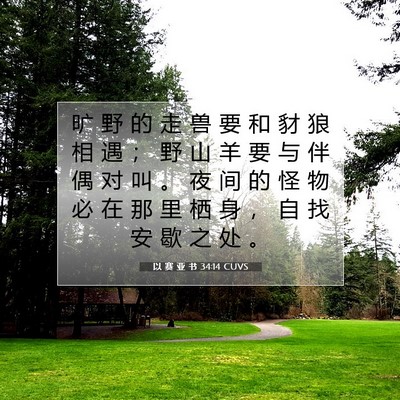 Picture 07 - 以 赛 亚 书 34:14 CUVS - 旷 野 的 走 兽 要 和 豺 狼 相 遇 ； - Bible Verse Picture