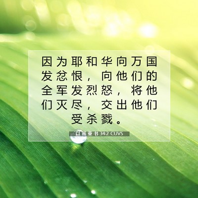 Picture 07 - 以 赛 亚 书 34:2 CUVS - 因 为 耶 和 华 向 万 国 发 忿 恨 ， - Bible Verse Picture
