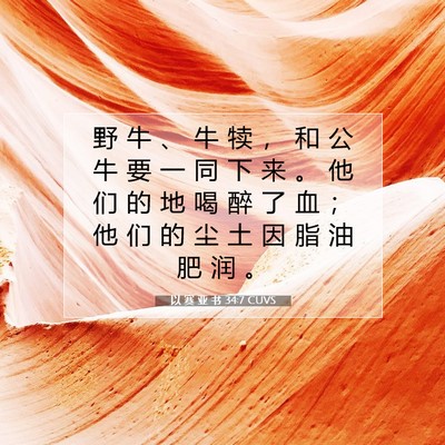Picture 07 - 以 赛 亚 书 34:7 CUVS - 野 牛 、 牛 犊 ， 和 公 牛 要 一 同 - Bible Verse Picture