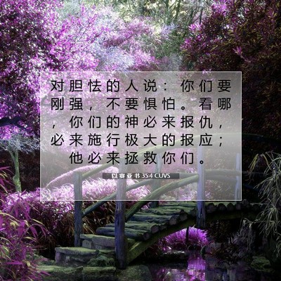 Picture 07 - 以 赛 亚 书 35:4 CUVS - 对 胆 怯 的 人 说 ： 你 们 要 刚 强 - Bible Verse Picture