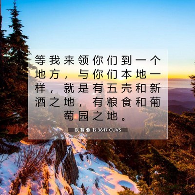 Picture 07 - 以 赛 亚 书 36:17 CUVS - 等 我 来 领 你 们 到 一 个 地 方 ， - Bible Verse Picture