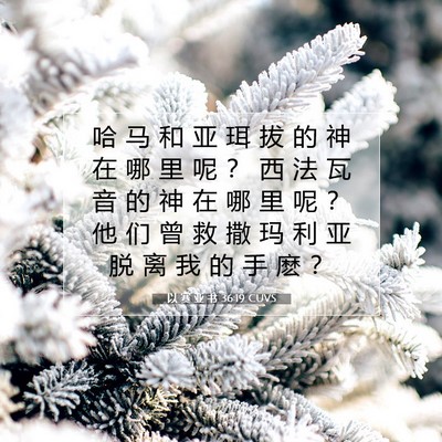Picture 07 - 以 赛 亚 书 36:19 CUVS - 哈 马 和 亚 珥 拔 的 神 在 哪 里 呢 - Bible Verse Picture