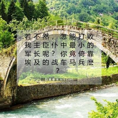 Picture 07 - 以 赛 亚 书 36:9 CUVS - 若 不 然 ， 怎 能 打 败 我 主 臣 仆 - Bible Verse Picture