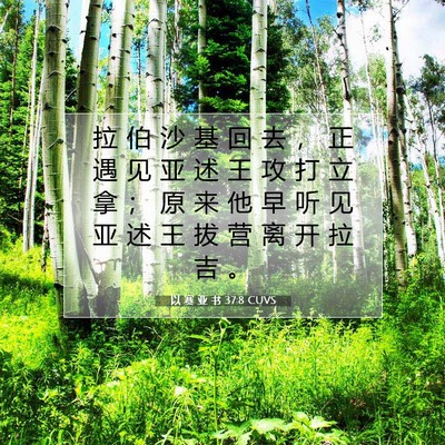 Picture 07 - 以 赛 亚 书 37:8 CUVS - 拉 伯 沙 基 回 去 ， 正 遇 见 亚 述 - Bible Verse Picture