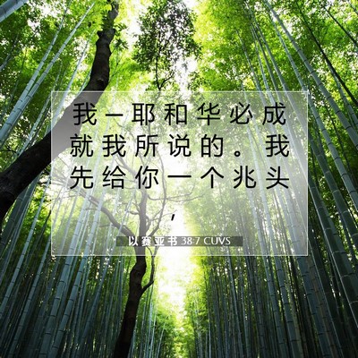 Picture 07 - 以 赛 亚 书 38:7 CUVS - 我 ─ 耶 和 华 必 成 就 我 所 说 的 - Bible Verse Picture