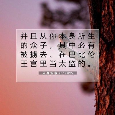 Picture 07 - 以 赛 亚 书 39:7 CUVS - 并 且 从 你 本 身 所 生 的 众 子 ， - Bible Verse Picture