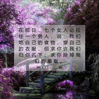 Picture 07 - 以 赛 亚 书 4:1 CUVS - 在 那 日 ， 七 个 女 人 必 拉 住 一 - Bible Verse Picture