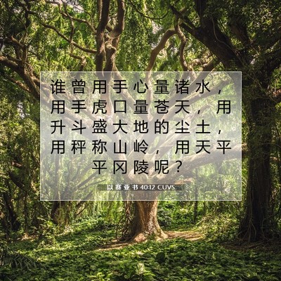 Picture 07 - 以 赛 亚 书 40:12 CUVS - 谁 曾 用 手 心 量 诸 水 ， 用 手 虎 - Bible Verse Picture