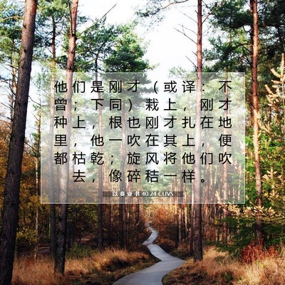 Picture 07 - 以 赛 亚 书 40:24 CUVS - 他 们 是 刚 才 （ 或 译 ： 不 曾 ； - Bible Verse Picture