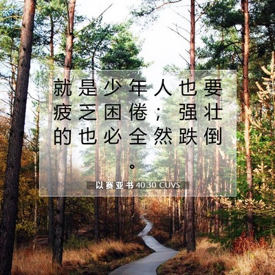 Picture 07 - 以 赛 亚 书 40:30 CUVS - 就 是 少 年 人 也 要 疲 乏 困 倦 ； - Bible Verse Picture