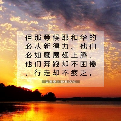 Picture 07 - 以 赛 亚 书 40:31 CUVS - 但 那 等 候 耶 和 华 的 必 从 新 得 - Bible Verse Picture