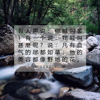 Picture 07 - 以 赛 亚 书 40:6 CUVS - 有 人 声 说 ： 你 喊 叫 罢 ！ 有 一 - Bible Verse Picture