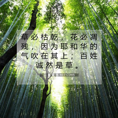 Picture 07 - 以 赛 亚 书 40:7 CUVS - 草 必 枯 乾 ， 花 必 凋 残 ， 因 为 - Bible Verse Picture
