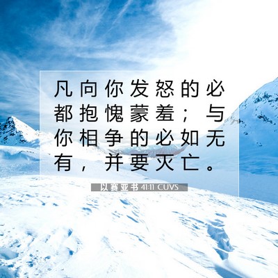 Picture 07 - 以 赛 亚 书 41:11 CUVS - 凡 向 你 发 怒 的 必 都 抱 愧 蒙 羞 - Bible Verse Picture