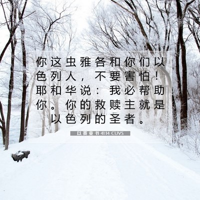 Picture 07 - 以 赛 亚 书 41:14 CUVS - 你 这 虫 雅 各 和 你 们 以 色 列 人 - Bible Verse Picture