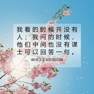 Picture 07 - 以 赛 亚 书 41:28 CUVS - 我 看 的 时 候 并 没 有 人 ； 我 问 - Bible Verse Picture