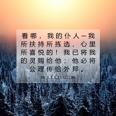 Picture 07 - 以 赛 亚 书 42:1 CUVS - 看 哪 ， 我 的 仆 人 ─ 我 所 扶 持 - Bible Verse Picture