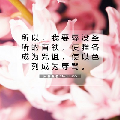 Picture 07 - 以 赛 亚 书 43:28 CUVS - 所 以 ， 我 要 辱 没 圣 所 的 首 领 - Bible Verse Picture