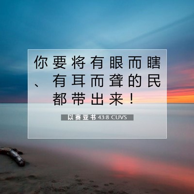 Picture 07 - 以 赛 亚 书 43:8 CUVS - 你 要 将 有 眼 而 瞎 、 有 耳 而 聋 - Bible Verse Picture