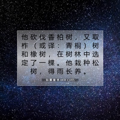 Picture 07 - 以 赛 亚 书 44:14 CUVS - 他 砍 伐 香 柏 树 ， 又 取 柞 （ 或 - Bible Verse Picture