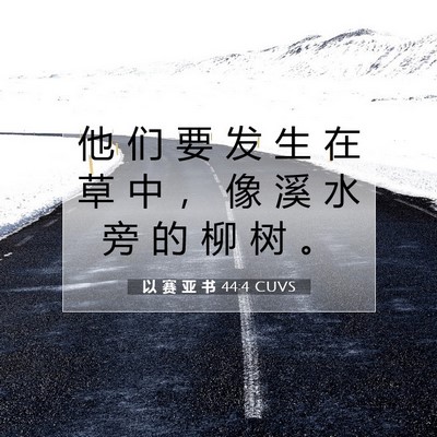 Picture 07 - 以 赛 亚 书 44:4 CUVS - 他 们 要 发 生 在 草 中 ， 像 溪 水 - Bible Verse Picture
