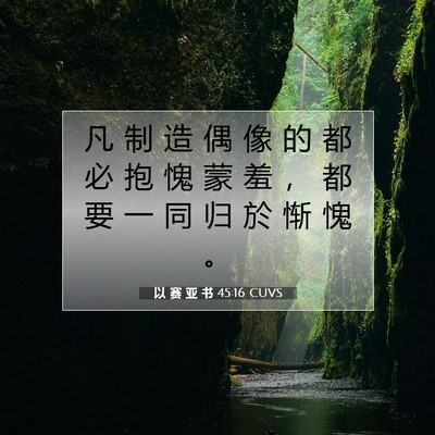 Picture 07 - 以 赛 亚 书 45:16 CUVS - 凡 制 造 偶 像 的 都 必 抱 愧 蒙 羞 - Bible Verse Picture