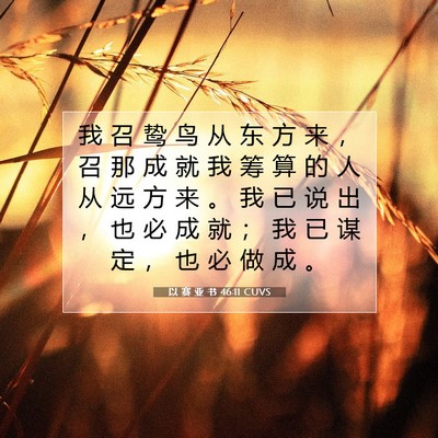 Picture 07 - 以 赛 亚 书 46:11 CUVS - 我 召 鸷 鸟 从 东 方 来 ， 召 那 成 - Bible Verse Picture