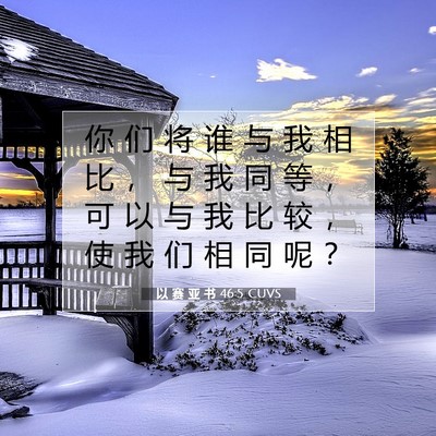 Picture 07 - 以 赛 亚 书 46:5 CUVS - 你 们 将 谁 与 我 相 比 ， 与 我 同 - Bible Verse Picture