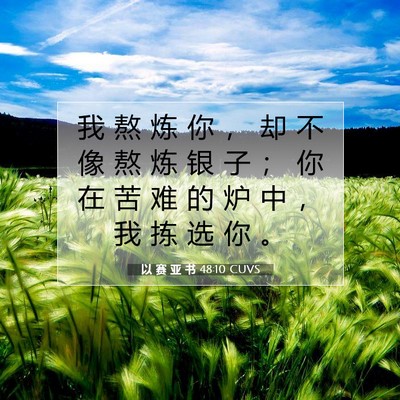 Picture 07 - 以 赛 亚 书 48:10 CUVS - 我 熬 炼 你 ， 却 不 像 熬 炼 银 子 - Bible Verse Picture