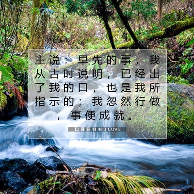 Picture 07 - 以 赛 亚 书 48:3 CUVS - 主 说 ： 早 先 的 事 ， 我 从 古 时 - Bible Verse Picture