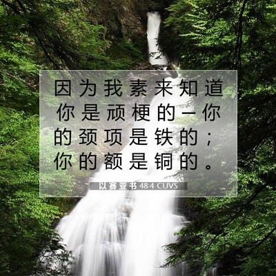 Picture 07 - 以 赛 亚 书 48:4 CUVS - 因 为 我 素 来 知 道 你 是 顽 梗 的 - Bible Verse Picture