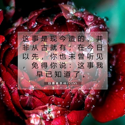 Picture 07 - 以 赛 亚 书 48:7 CUVS - 这 事 是 现 今 造 的 ， 并 非 从 古 - Bible Verse Picture