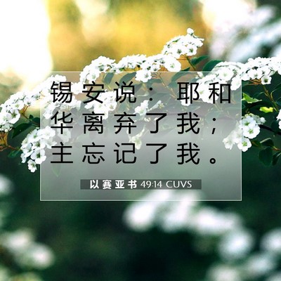 Picture 07 - 以 赛 亚 书 49:14 CUVS - 锡 安 说 ： 耶 和 华 离 弃 了 我 ； - Bible Verse Picture