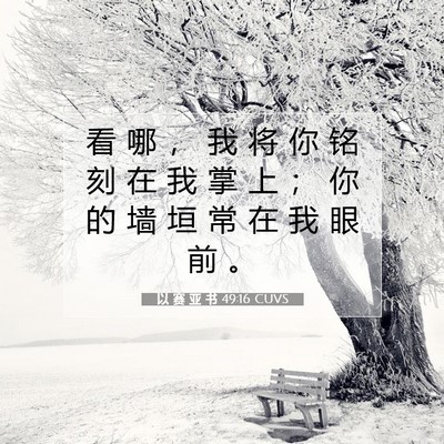Picture 07 - 以 赛 亚 书 49:16 CUVS - 看 哪 ， 我 将 你 铭 刻 在 我 掌 上 - Bible Verse Picture