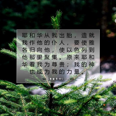 Picture 07 - 以 赛 亚 书 49:5 CUVS - 耶 和 华 从 我 出 胎 ， 造 就 我 作 - Bible Verse Picture
