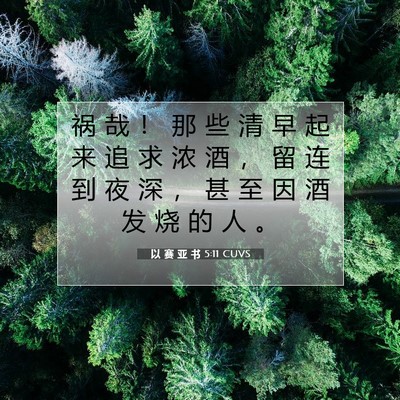 Picture 07 - 以 赛 亚 书 5:11 CUVS - 祸 哉 ！ 那 些 清 早 起 来 追 求 浓 - Bible Verse Picture