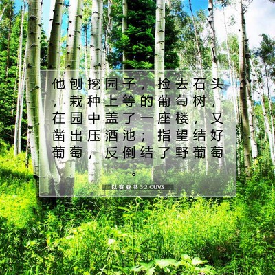 Picture 07 - 以 赛 亚 书 5:2 CUVS - 他 刨 挖 园 子 ， 捡 去 石 头 ， 栽 - Bible Verse Picture