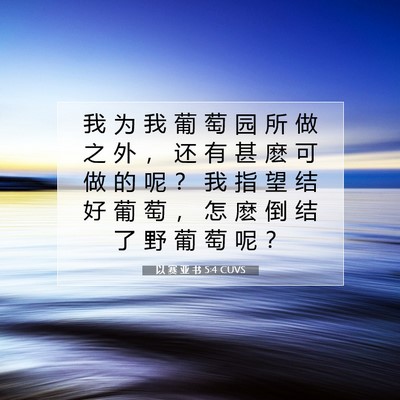 Picture 07 - 以 赛 亚 书 5:4 CUVS - 我 为 我 葡 萄 园 所 做 之 外 ， 还 - Bible Verse Picture