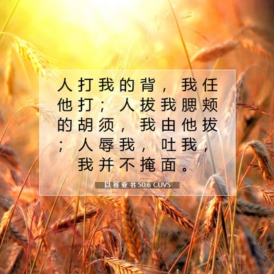 Picture 07 - 以 赛 亚 书 50:6 CUVS - 人 打 我 的 背 ， 我 任 他 打 ； 人 - Bible Verse Picture