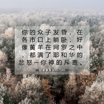 Picture 07 - 以 赛 亚 书 51:20 CUVS - 你 的 众 子 发 昏 ， 在 各 市 口 上 - Bible Verse Picture