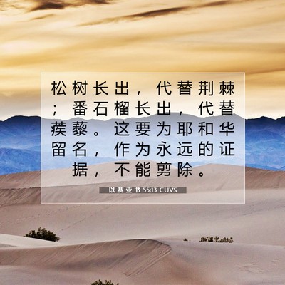 Picture 07 - 以 赛 亚 书 55:13 CUVS - 松 树 长 出 ， 代 替 荆 棘 ； 番 石 - Bible Verse Picture
